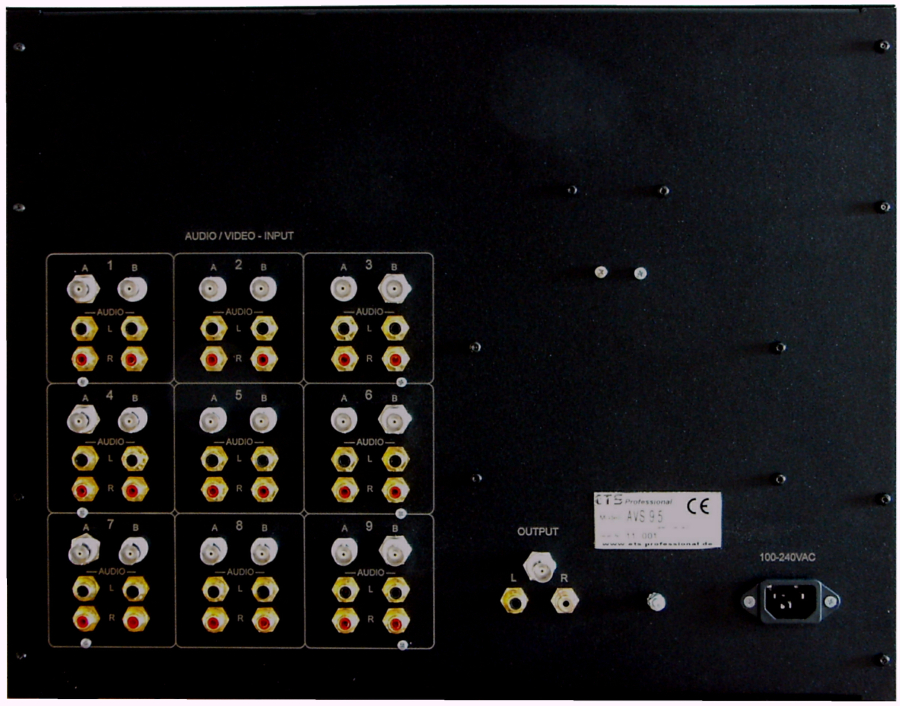 Detailansicht des AV-Selektor's